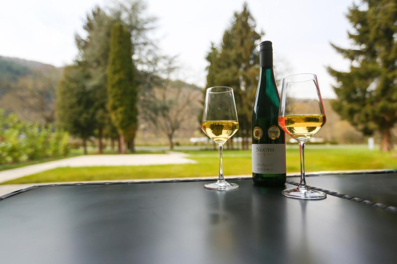 Rieslingresidenz Leilighet Traben-Trarbach Eksteriør bilde